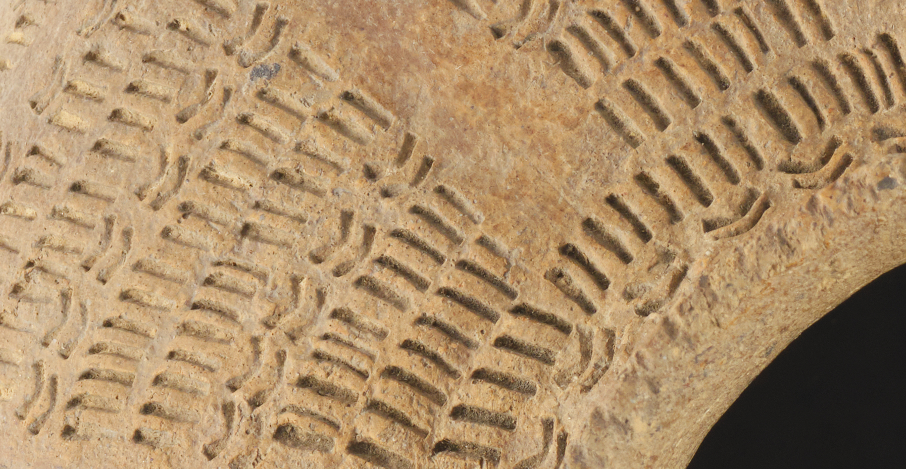 Europejskie Dni Archeologii w Muzeum Dialogu Kultur