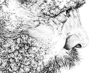 Grafika artystyczna ze zbiorów MNKi