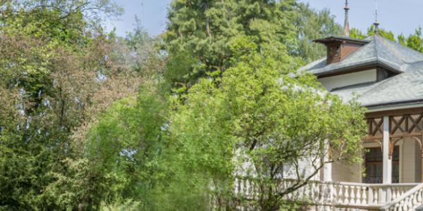 Bujna przyroda w Oblęgorku