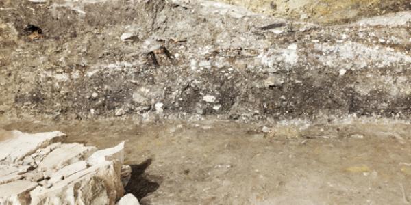 Świadek archeologiczny