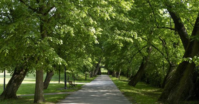 Park przy Pałacyku Henryka Sienkiewicza w Oblęgorku