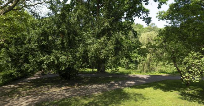 Park przy Pałacyku Henryka Sienkiewicza w Oblęgorku