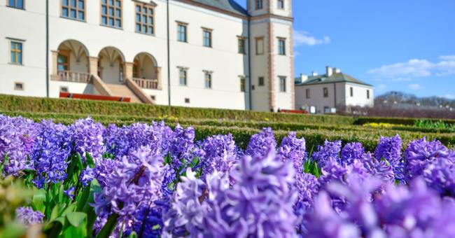 Ogród włoski przy Dawnym Pałacu Biskupów Krakowskich