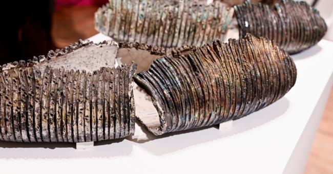 Wernisaż wystawy czasowej 