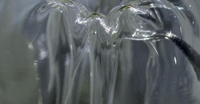 szklany dialog - ekspozycja