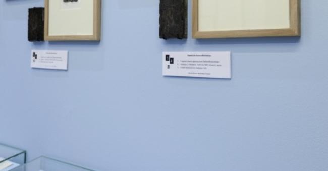 Poza ramami. Literackie inspiracje w grafice. Adam Mickiewicz 