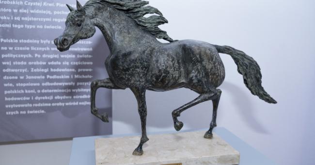 Konie piękne i zuchwałe. Araby