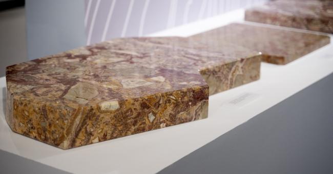 Wernisaż wystawy czasowej 