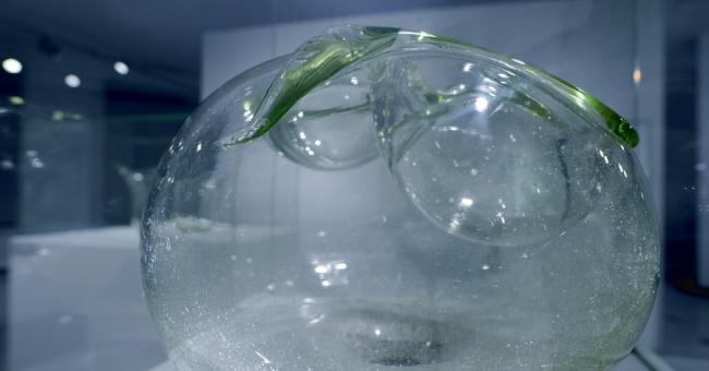 szklany dialog - ekspozycja