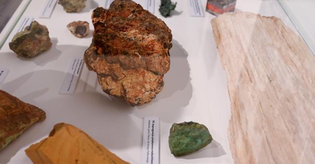 Wernisaż wystawy czasowej 