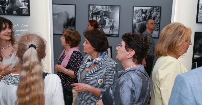 Konie piękne i zuchwałe. Araby