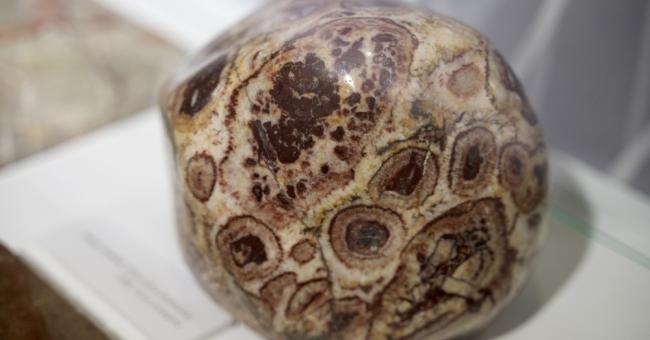 Wernisaż wystawy czasowej 