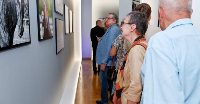 Konie piękne i zuchwałe. Araby