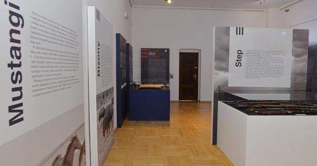 Wystawa American Dream