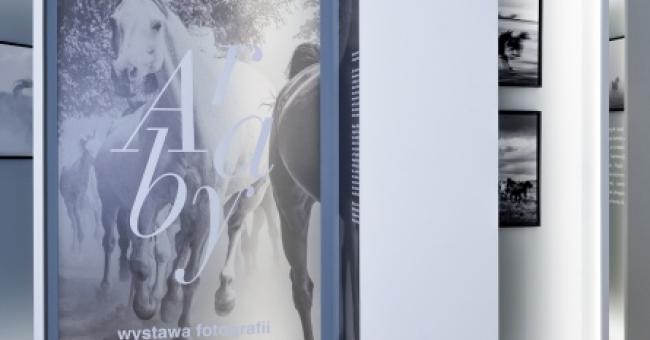 Konie piękne i zuchwałe. Araby