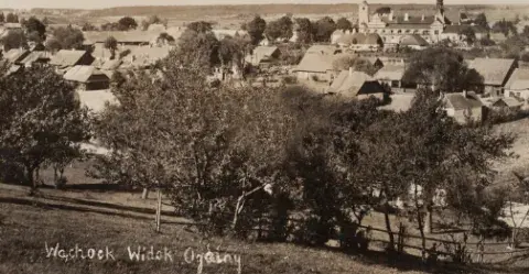 Wąchock