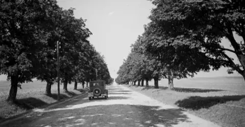 aktualność