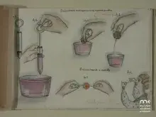 Ilustracja instruktażowa: ręce używają pipety i wkładają drobne przedmioty do kubka.