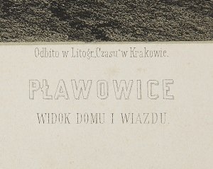 pałac w Pławowicach 