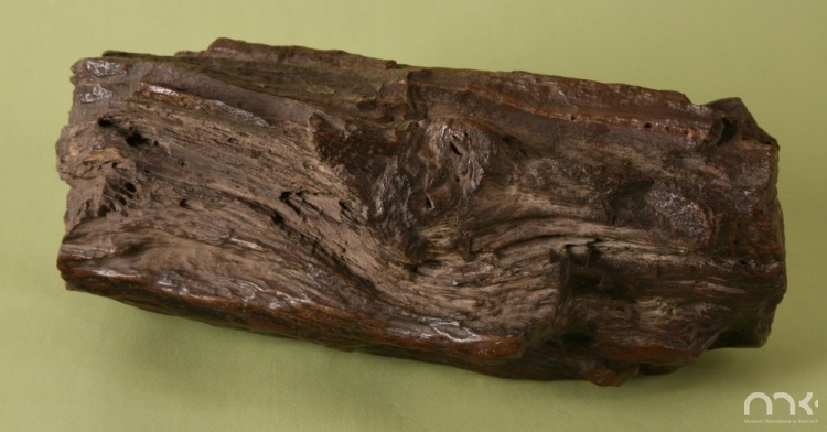 Pierwszym wpisanym do muzealnego inwentarza zabytkiem jest okaz skrzemieniałego drewna znaleziony w Miedzianej Górze przez Feliksa Rybarskiego z Kielc.