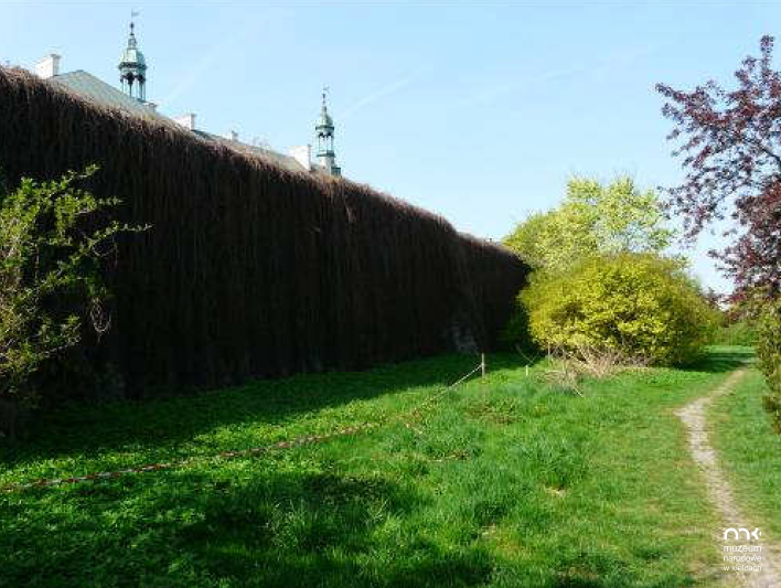 Mur okalający Dawny Pałac Biskupów Krakowskich przed zabezpieczniem