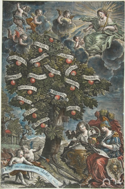 Drzewo genealogiczne Habsburgów