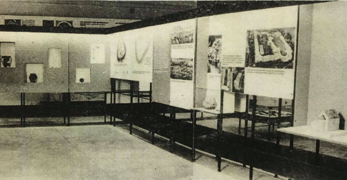 Pierwsza muzealna ekspozycja w Wiślicy