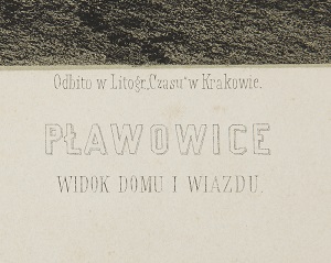 pałac w Pławowicach 